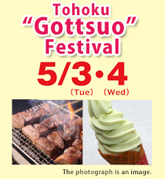 Tohoku "Gottsuo" Fwstival