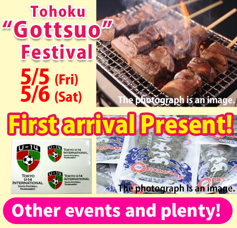 Tohoku Gottsuo Festival